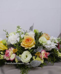 Hoa hội nghị HN-03